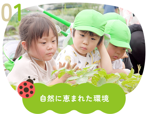 自然に恵まれた環境